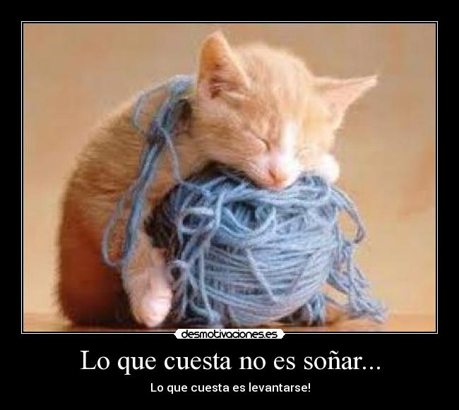 Lo que cuesta no es soñar... - Lo que cuesta es levantarse!