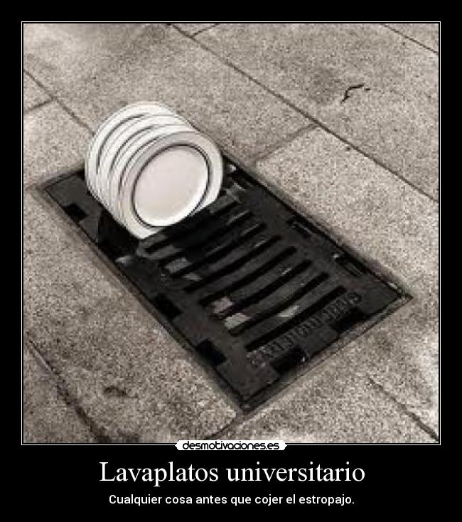 Lavaplatos universitario -