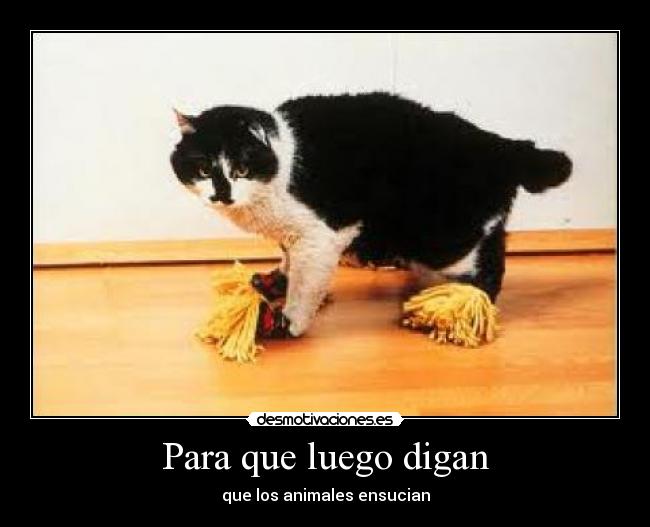 Para que luego digan - que los animales ensucian