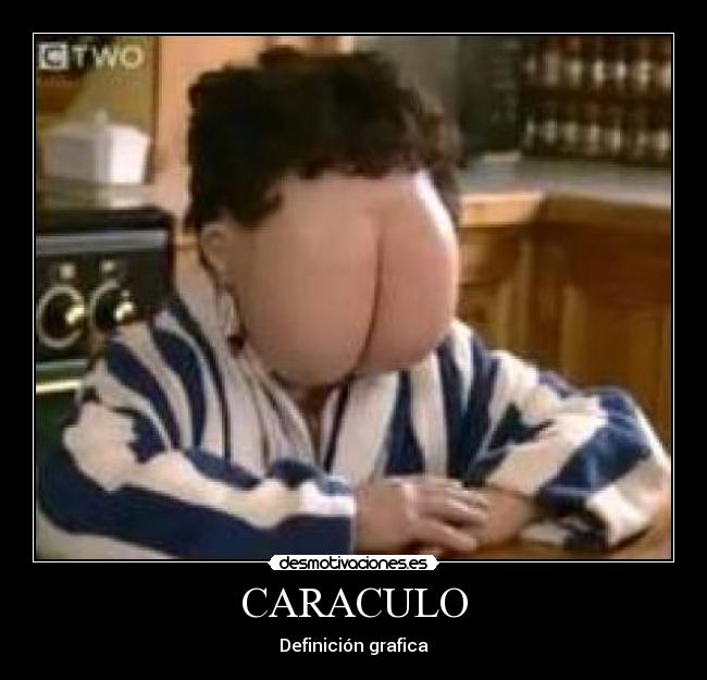 CARACULO - Definición grafica