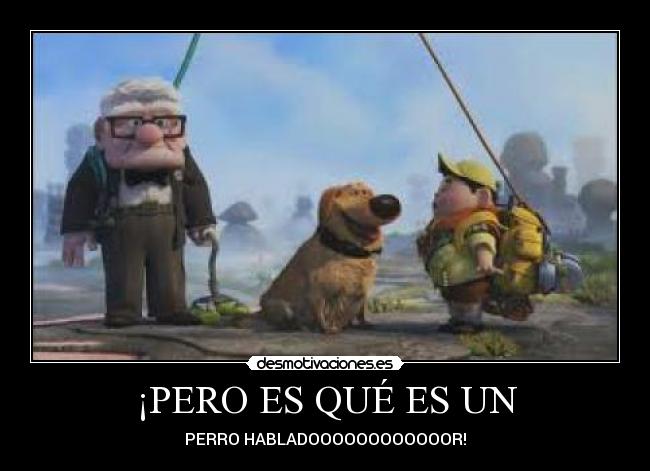 ¡PERO ES QUÉ ES UN - PERRO HABLADOOOOOOOOOOOOR!