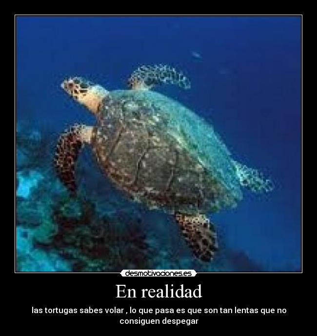 En realidad - 