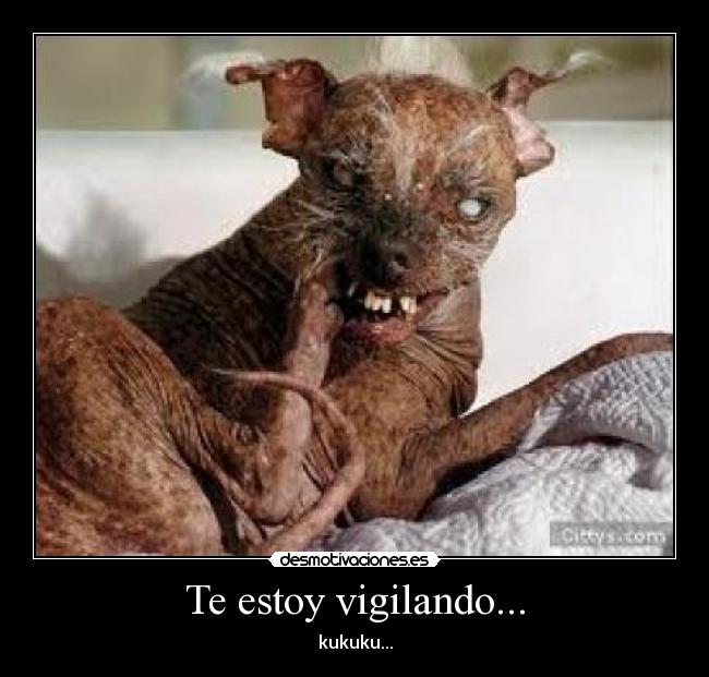 Te estoy vigilando... -