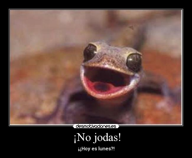 ¡No jodas! - 