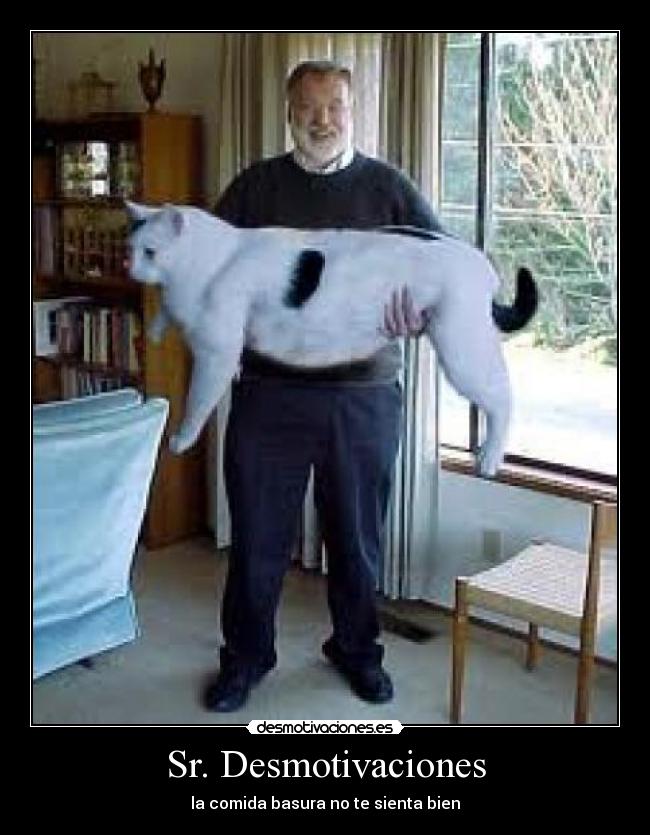 Sr. Desmotivaciones - la comida basura no te sienta bien