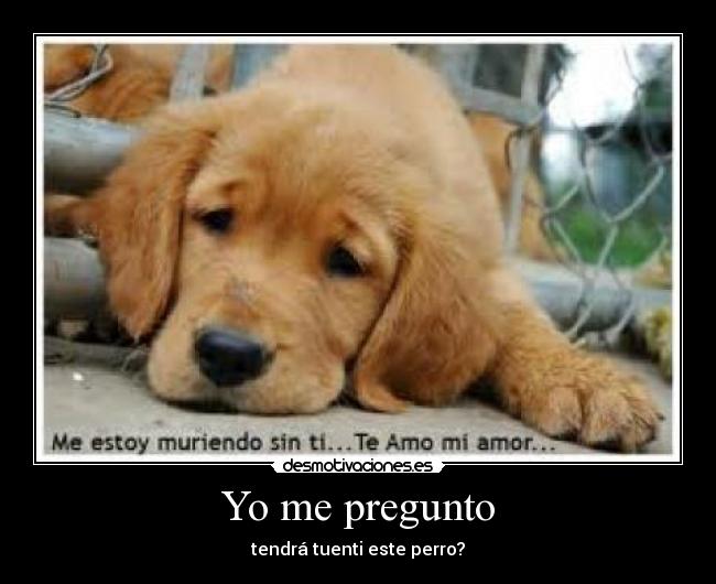 Yo me pregunto - 