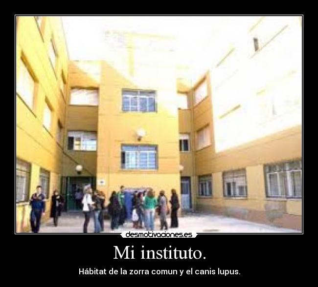 Mi instituto. - 