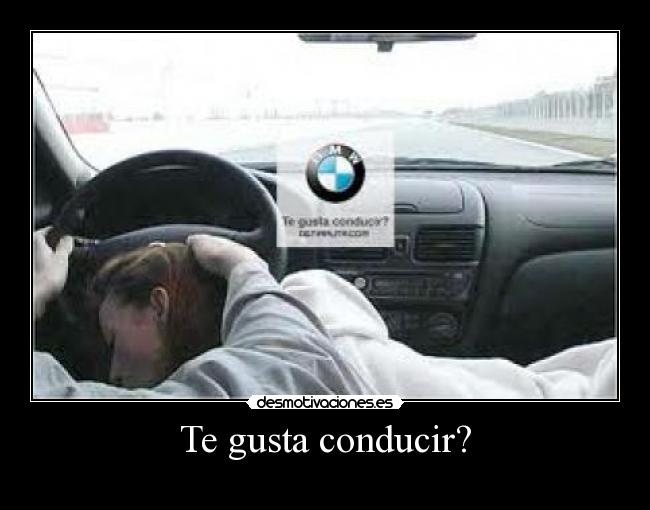 Te gusta conducir? - 