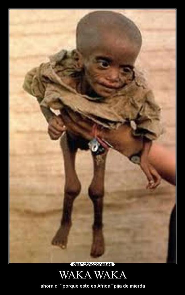 carteles africadesnutridowaka waka desmotivaciones