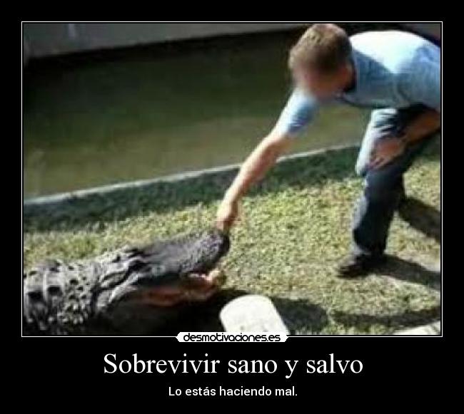Sobrevivir sano y salvo - Lo estás haciendo mal.