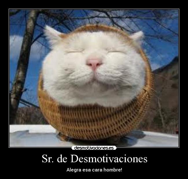 Sr. de Desmotivaciones -