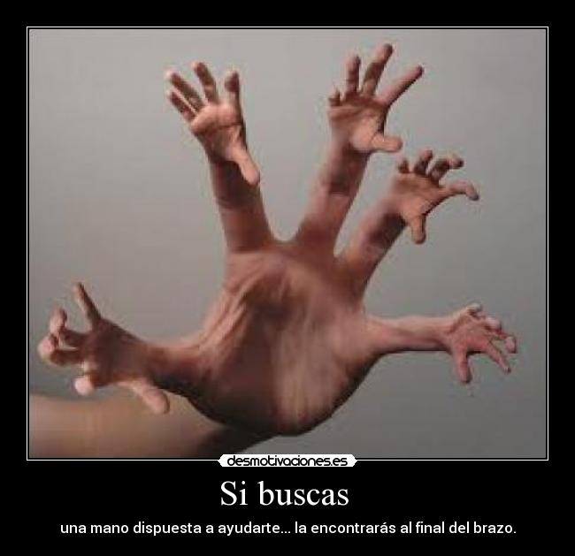 carteles davidag31 desmotivaciones