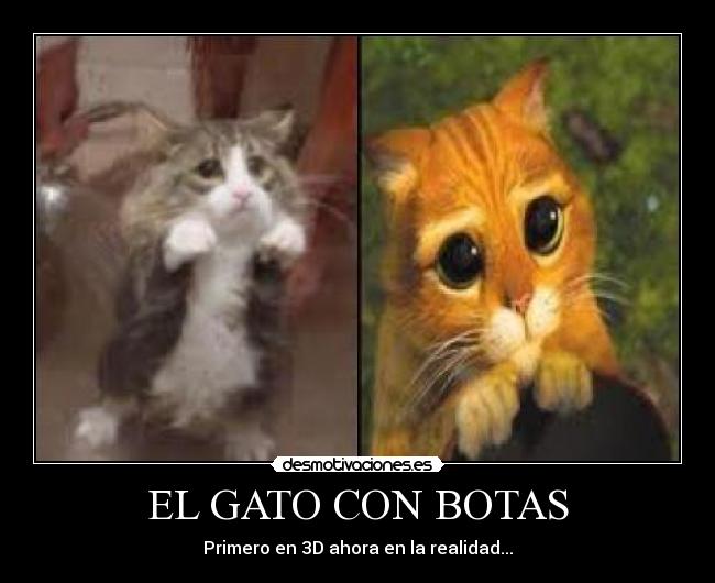 EL GATO CON BOTAS - Primero en 3D ahora en la realidad...