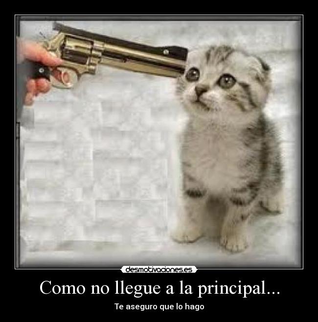 Como no llegue a la principal... -