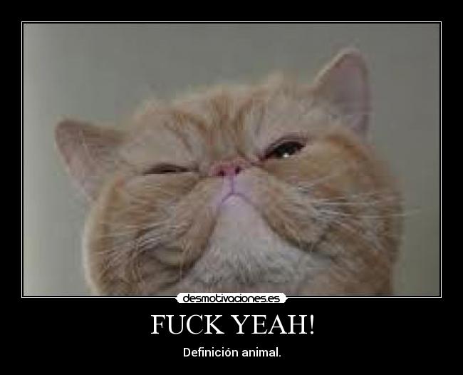 FUCK YEAH! -