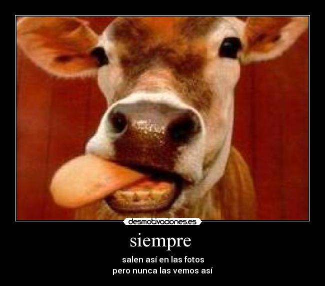 siempre - salen así en las fotos
pero nunca las vemos así