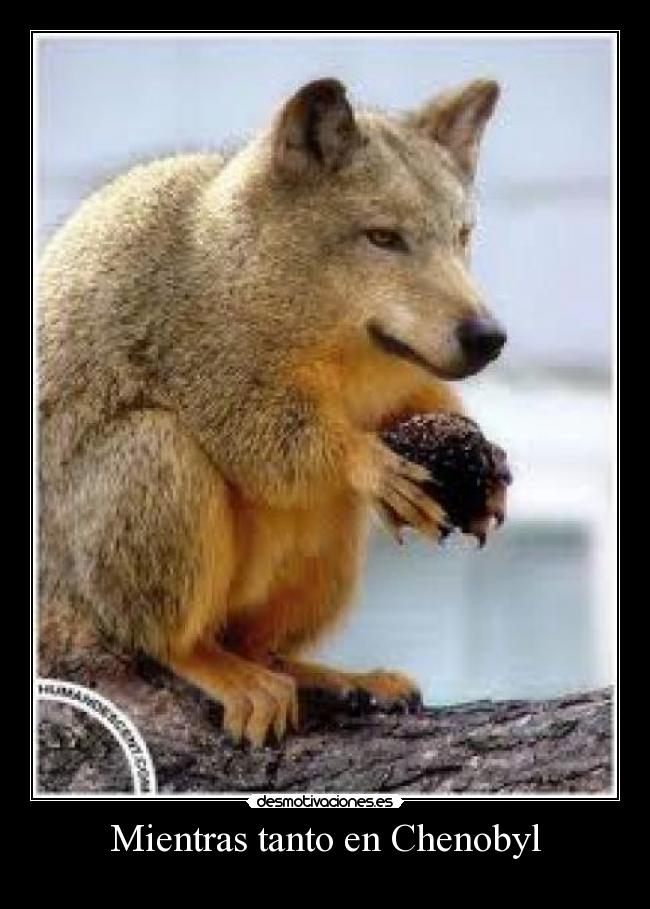 Mientras tanto en Chenobyl -