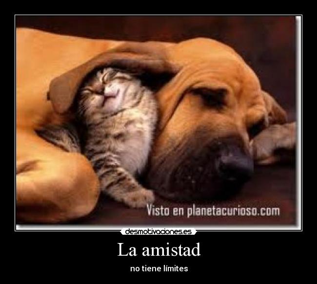 La amistad - 