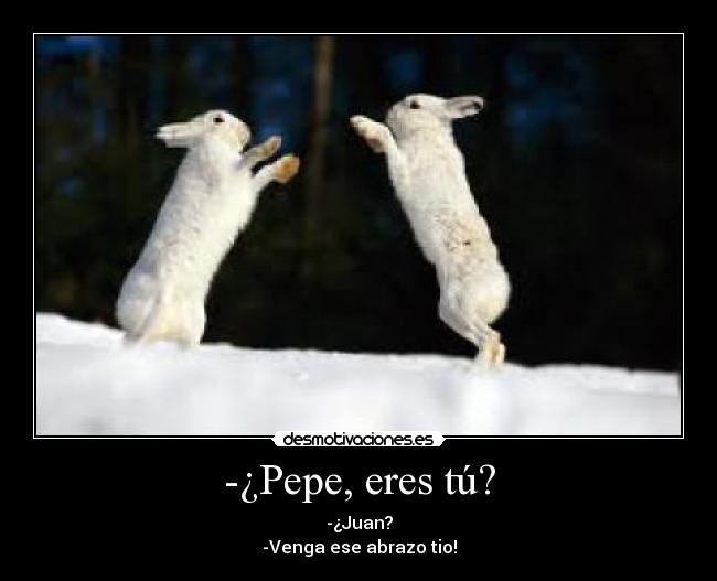 -¿Pepe, eres tú? -