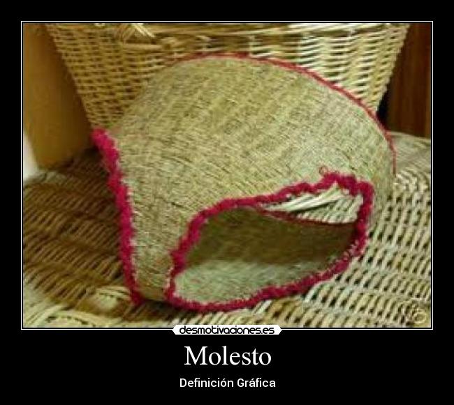 Molesto -