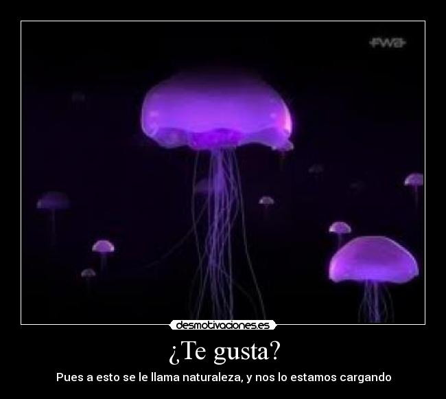 ¿Te gusta? - Pues a esto se le llama naturaleza, y nos lo estamos cargando