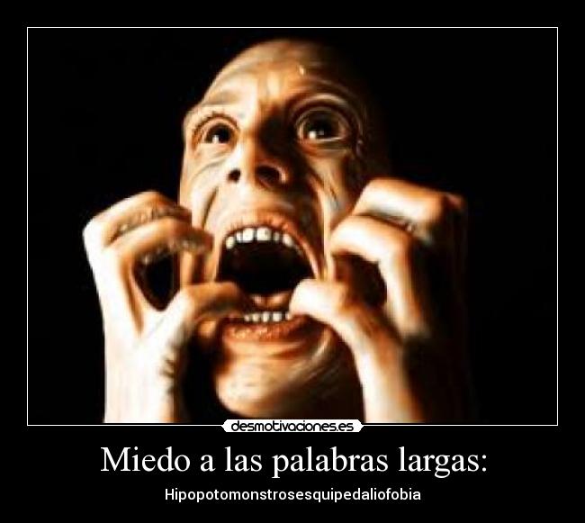 Miedo a las palabras largas: -