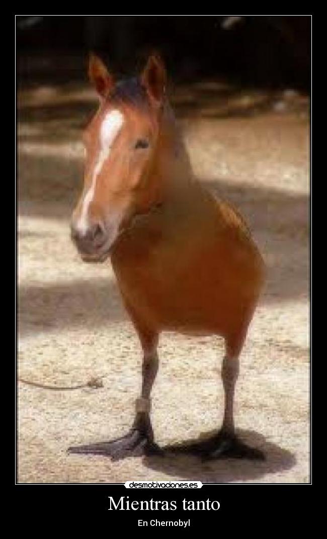 Mientras tanto - En Chernobyl