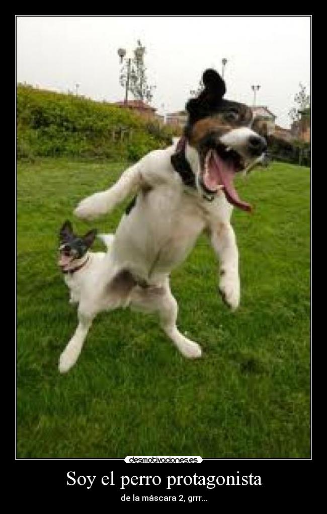 Soy el perro protagonista -