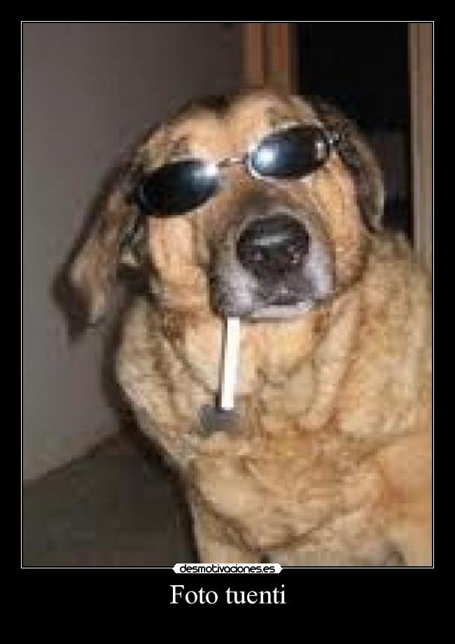 carteles tuenti foto tuenti desmotivaciones