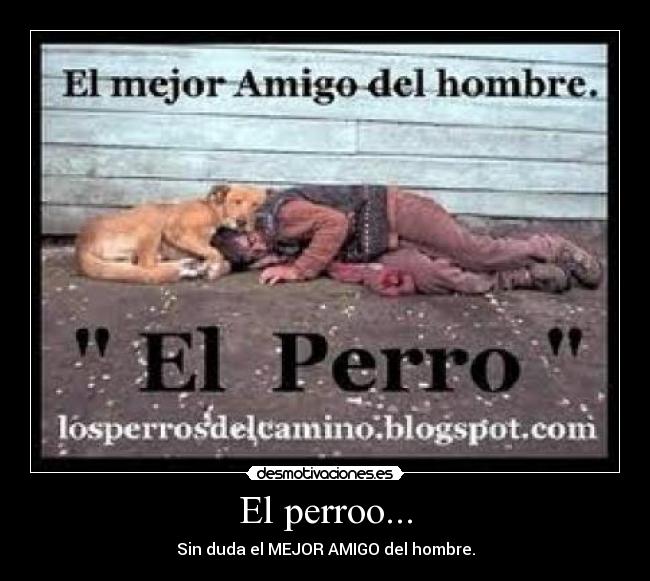 El perroo... -