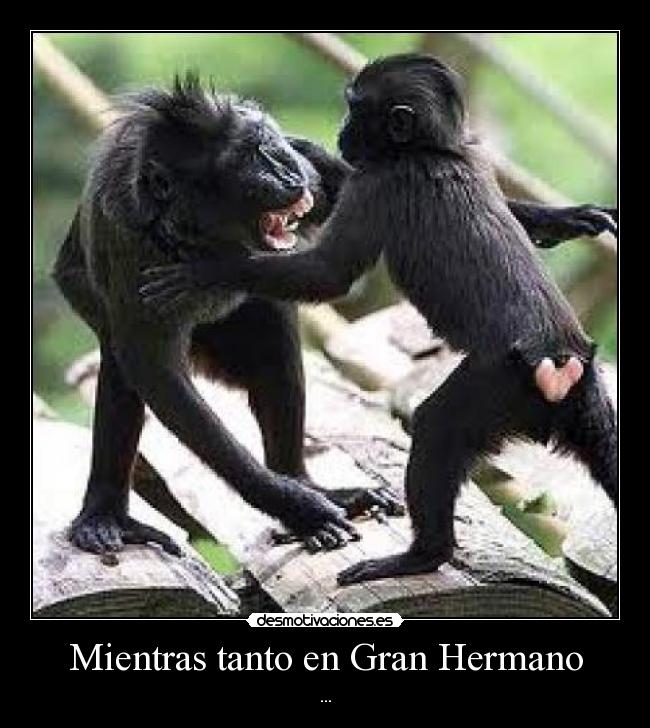 Mientras tanto en Gran Hermano -