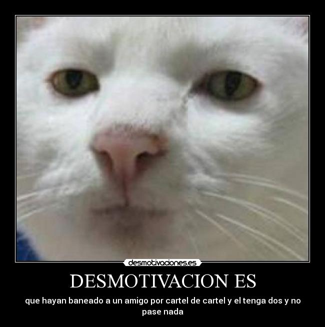 DESMOTIVACION ES - que hayan baneado a un amigo por cartel de cartel y el tenga dos y no pase nada