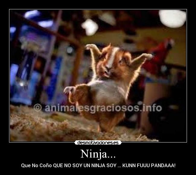 Ninja... -