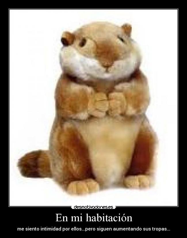 En mi habitación - 