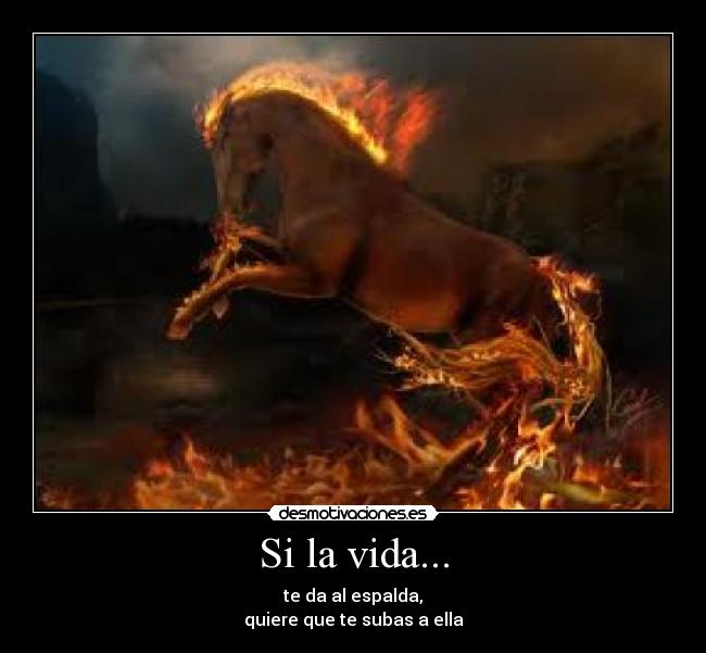 Si la vida... - 