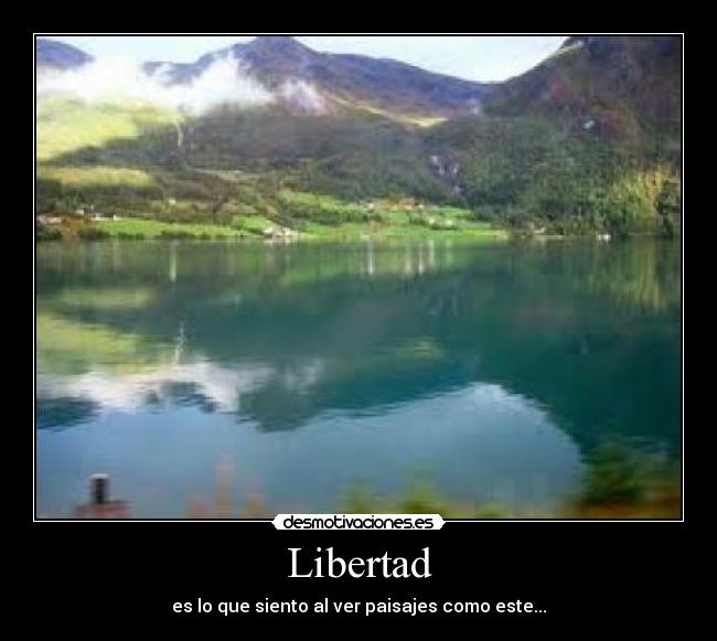 carteles libertad libertad desmotivaciones