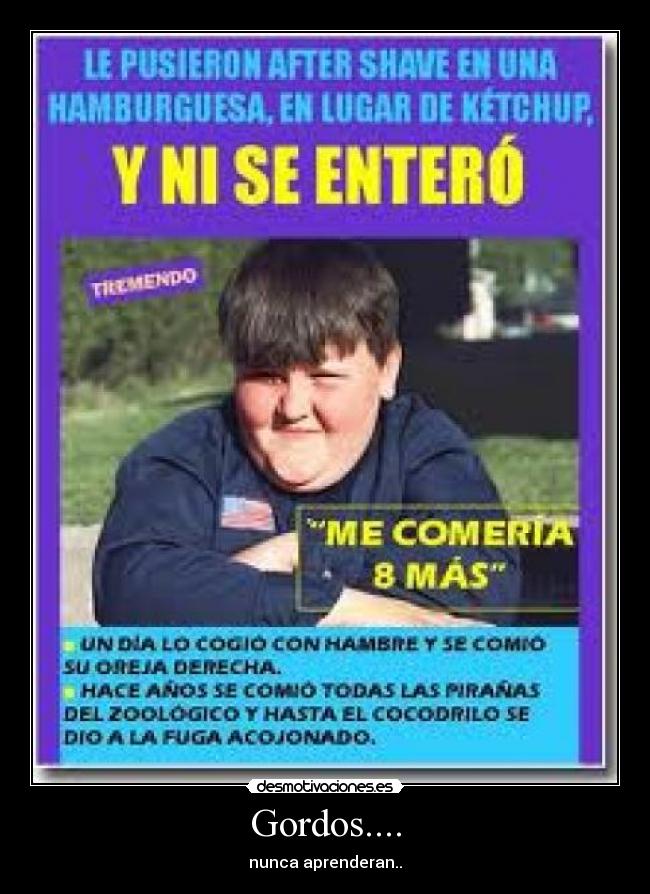 carteles gordos desmotivaciones