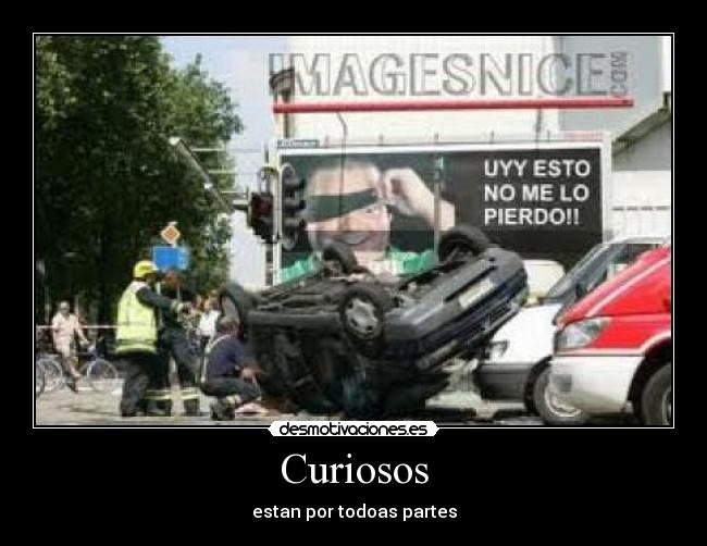 Curiosos -
