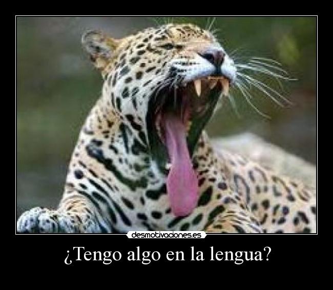 carteles tigre desmotivaciones