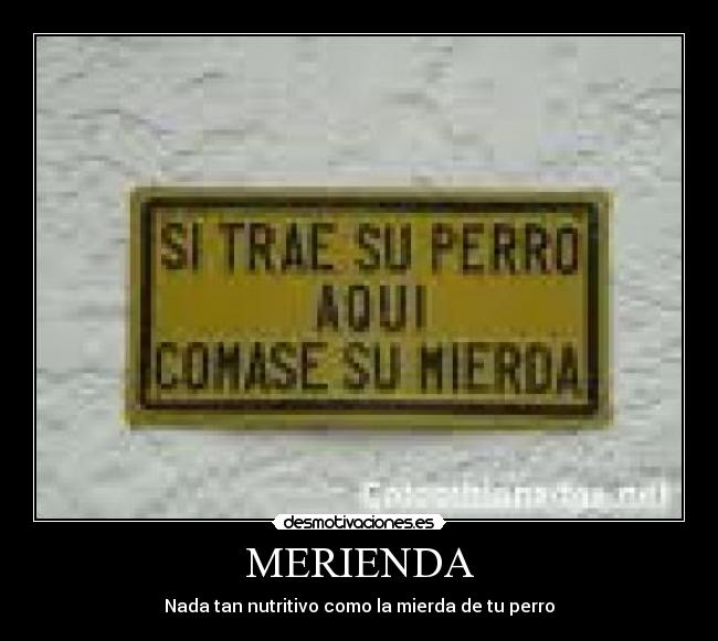 MERIENDA - Nada tan nutritivo como la mierda de tu perro