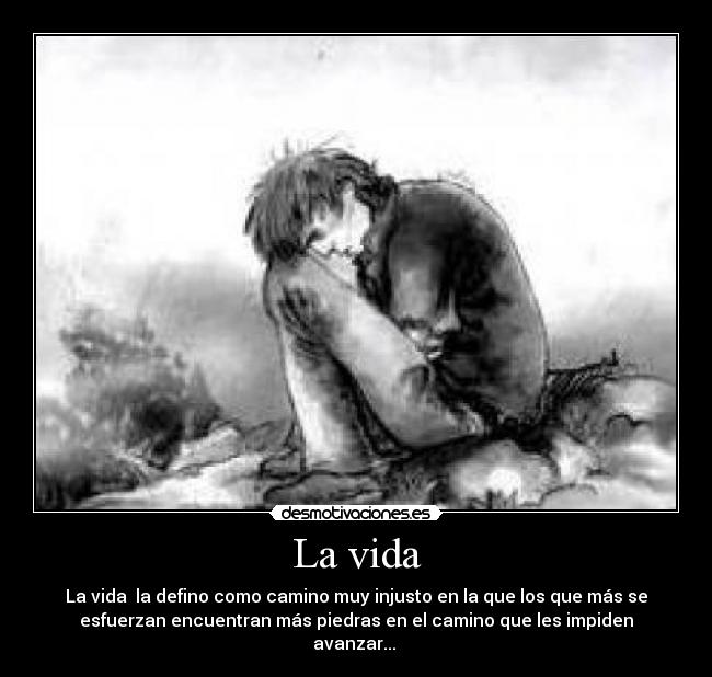 carteles vida vida desmotivaciones