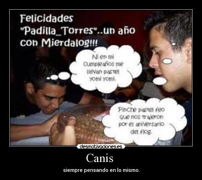 Canis -