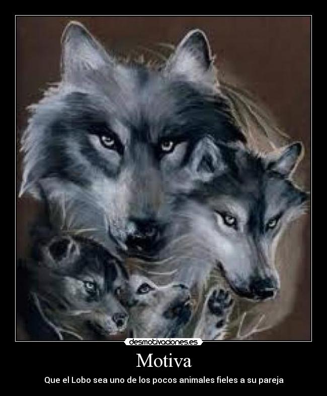 carteles fieles lobo desmotiva desmotivaciones