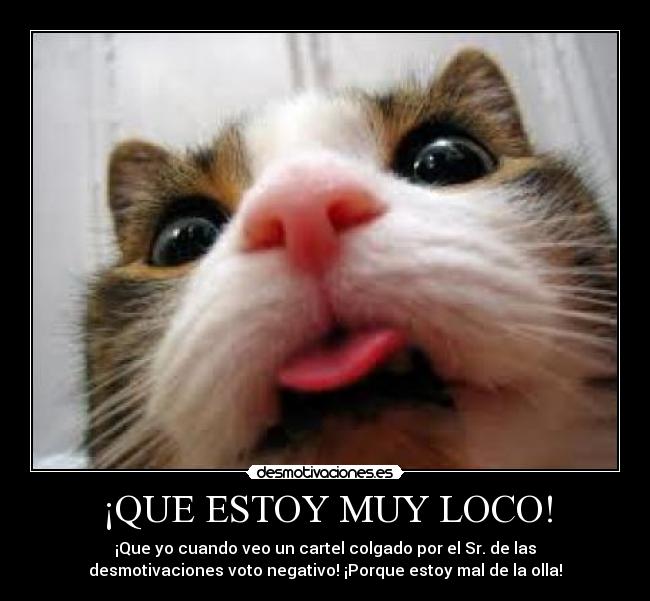 ¡QUE ESTOY MUY LOCO! - ¡Que yo cuando veo un cartel colgado por el Sr. de las
desmotivaciones voto negativo! ¡Porque estoy mal de la olla!