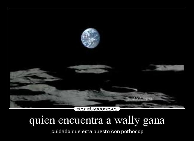 quien encuentra a wally gana - cuidado que esta puesto con pothosop