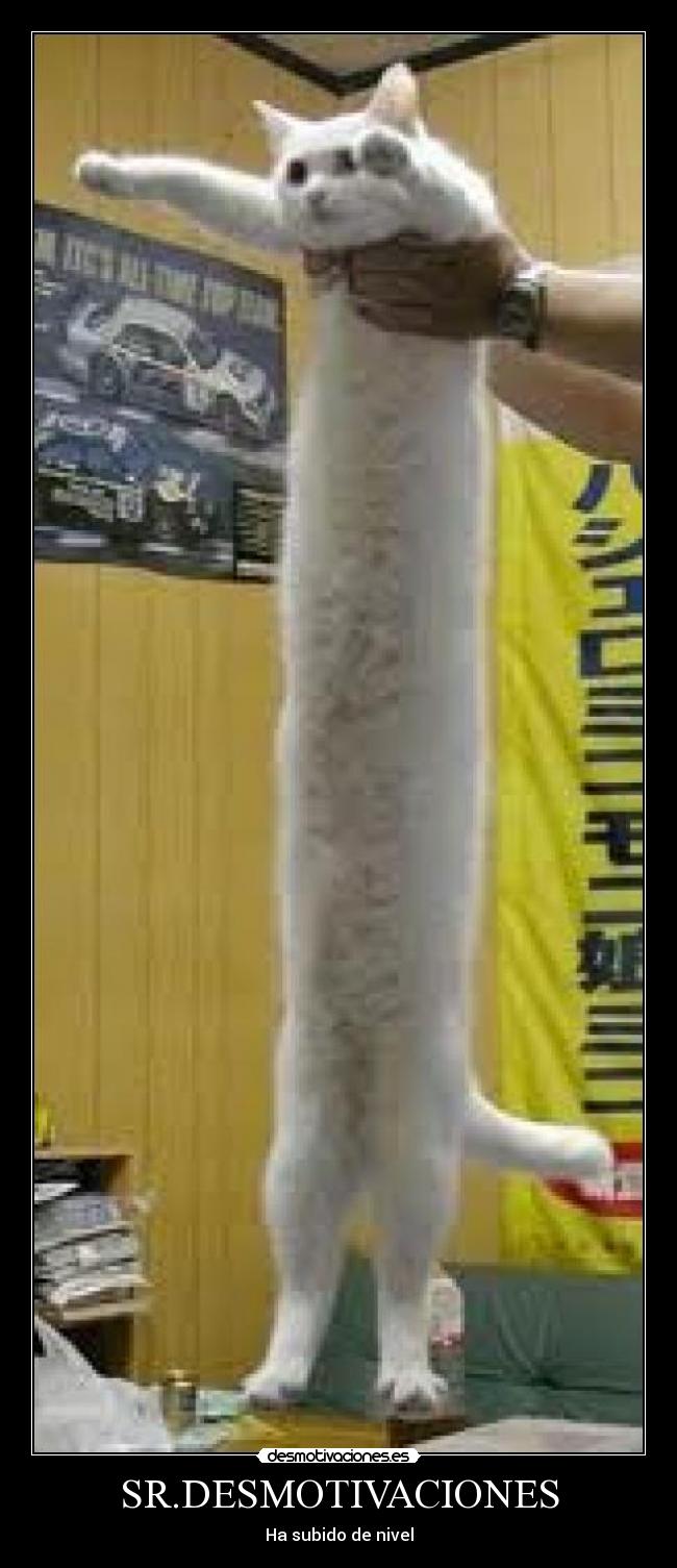 SR.DESMOTIVACIONES - Ha subido de nivel