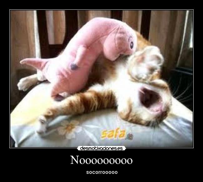 carteles lol desmotivaciones