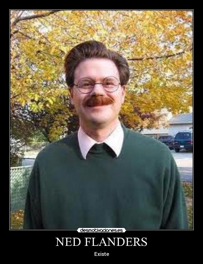 NED FLANDERS - Existe