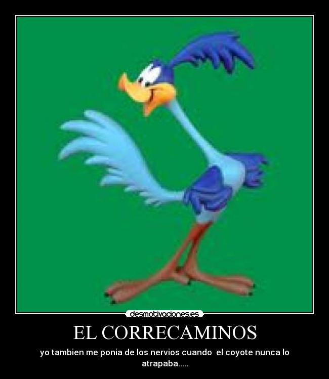 EL CORRECAMINOS - 