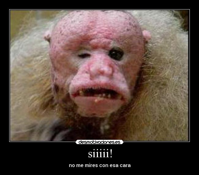 carteles kush2246 desmotivaciones